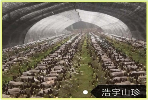 &#40857;&#56;&#45;&#108;&#111;&#110;&#103;&#56;&#40;&#20013;&#22269;&#41;&#21807;&#19968;&#23448;&#26041;&#32593;&#31449;&#45;&#31185;&#25216;&#39046;&#33322;&#31449;