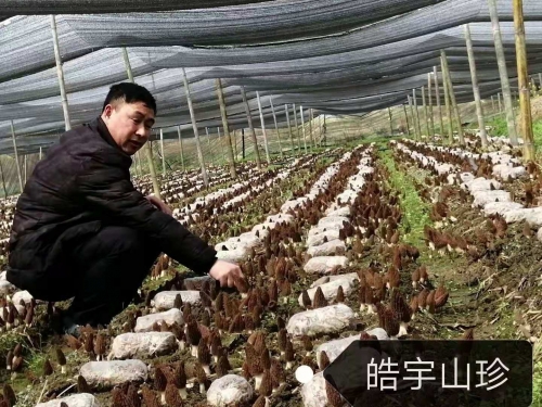 &#40857;&#56;&#45;&#108;&#111;&#110;&#103;&#56;&#40;&#20013;&#22269;&#41;&#21807;&#19968;&#23448;&#26041;&#32593;&#31449;&#45;&#31185;&#25216;&#39046;&#33322;&#31449;