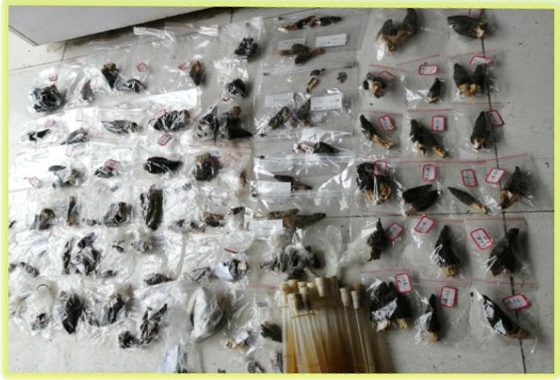 &#40857;&#56;&#45;&#108;&#111;&#110;&#103;&#56;&#40;&#20013;&#22269;&#41;&#21807;&#19968;&#23448;&#26041;&#32593;&#31449;&#45;&#31185;&#25216;&#39046;&#33322;&#31449;