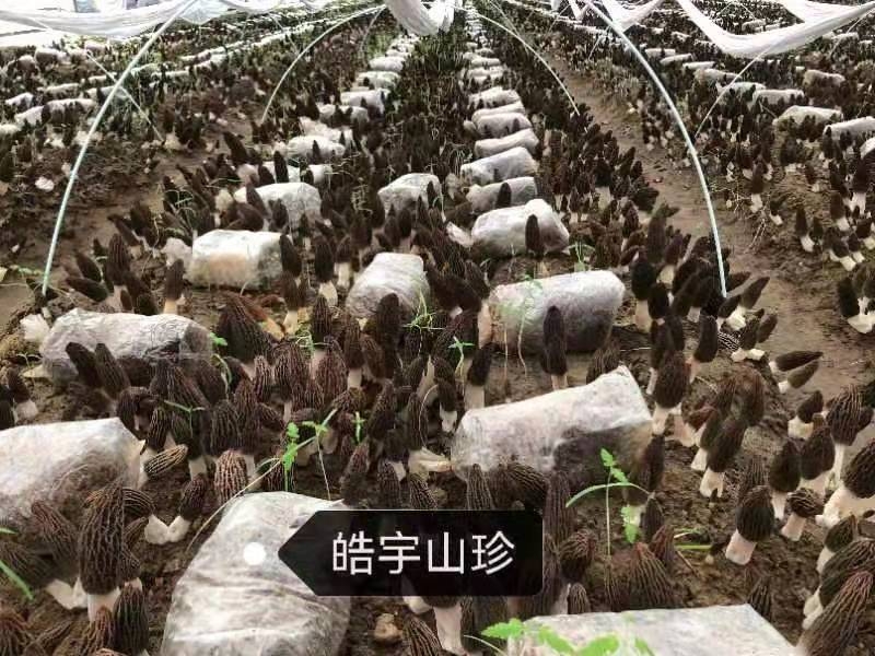 &#40857;&#56;&#45;&#108;&#111;&#110;&#103;&#56;&#40;&#20013;&#22269;&#41;&#21807;&#19968;&#23448;&#26041;&#32593;&#31449;&#45;&#31185;&#25216;&#39046;&#33322;&#31449;