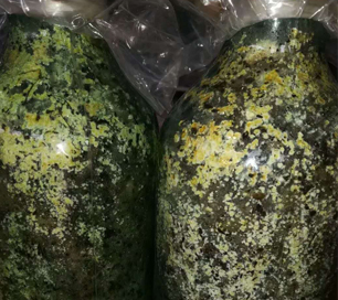 &#40857;&#56;&#45;&#108;&#111;&#110;&#103;&#56;&#40;&#20013;&#22269;&#41;&#21807;&#19968;&#23448;&#26041;&#32593;&#31449;&#45;&#31185;&#25216;&#39046;&#33322;&#31449;