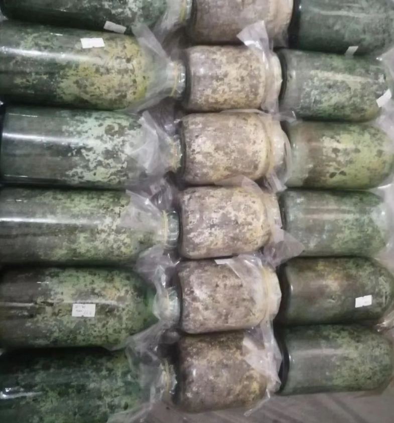 &#40857;&#56;&#45;&#108;&#111;&#110;&#103;&#56;&#40;&#20013;&#22269;&#41;&#21807;&#19968;&#23448;&#26041;&#32593;&#31449;&#45;&#31185;&#25216;&#39046;&#33322;&#31449;