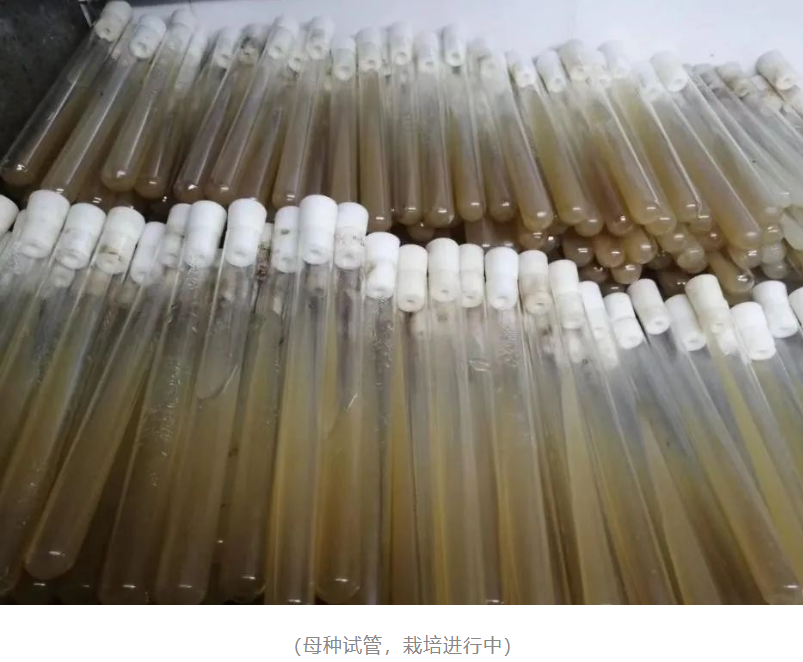 &#40857;&#56;&#45;&#108;&#111;&#110;&#103;&#56;&#40;&#20013;&#22269;&#41;&#21807;&#19968;&#23448;&#26041;&#32593;&#31449;&#45;&#31185;&#25216;&#39046;&#33322;&#31449;